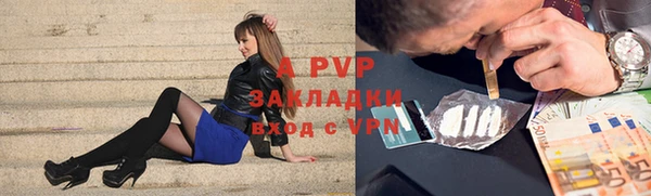 твердый Дмитровск
