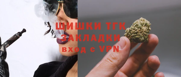твердый Дмитровск