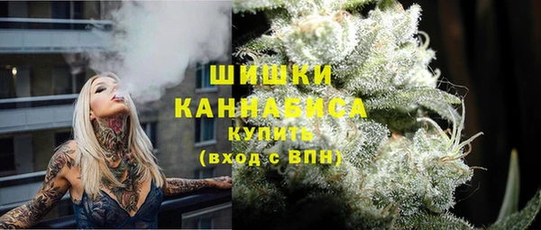 твердый Дмитровск